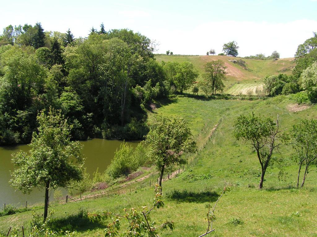 Gite De Carbonies Saint-Félix-de-Lunel Buitenkant foto