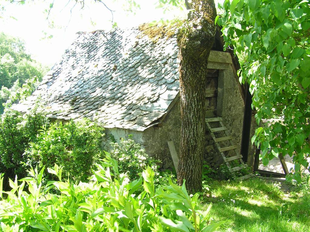 Gite De Carbonies Saint-Félix-de-Lunel Buitenkant foto